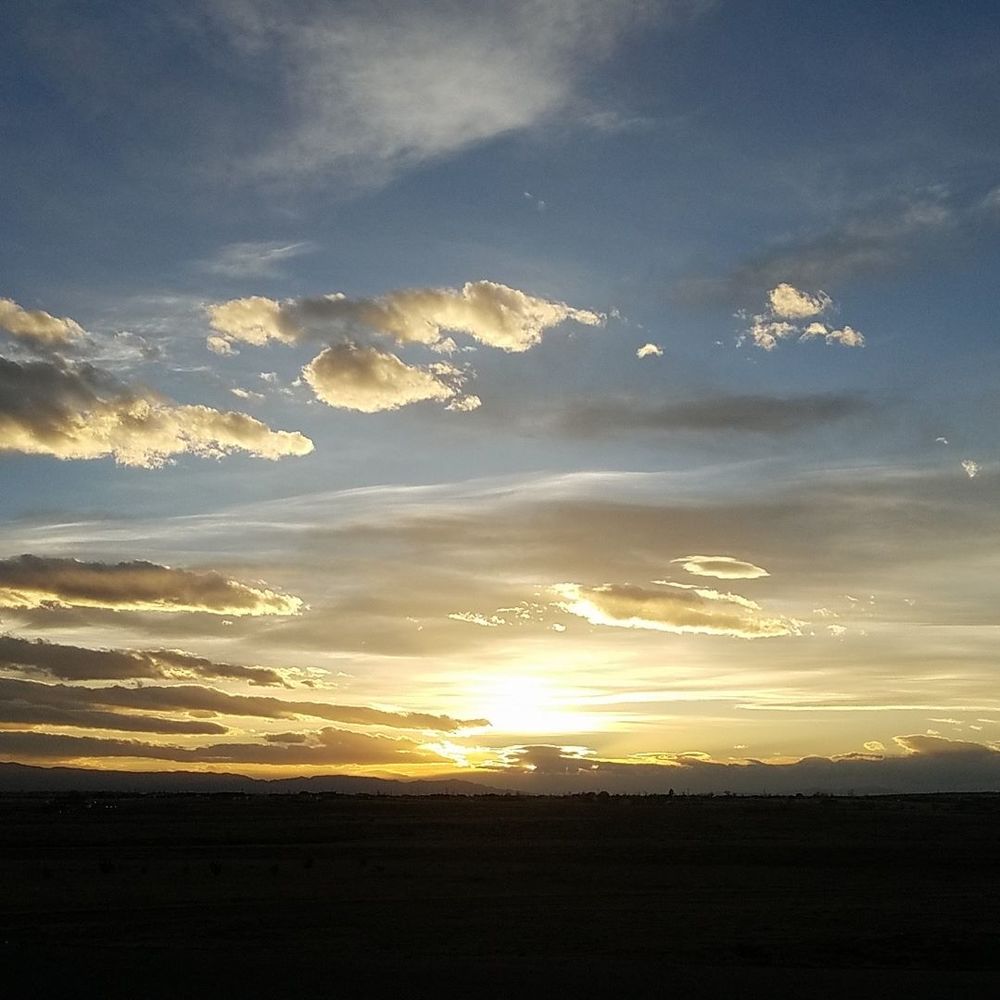 Meet your Posher, Hayley